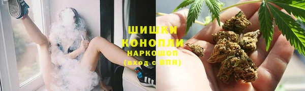 гидра Надым