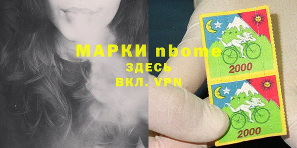 стафф Чекалин