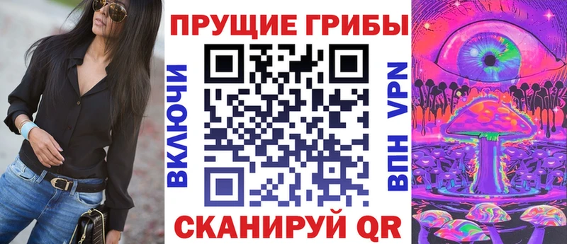 купить закладку  Тында  Галлюциногенные грибы Cubensis 